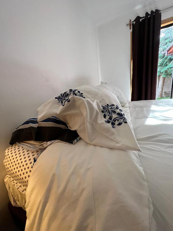Hotel Boutique Family Suites Panguipulli Bagian luar foto